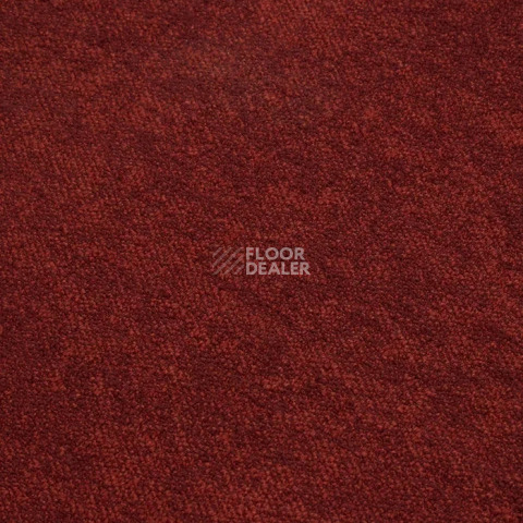 Haima Coral 36 фото 8 | FLOORDEALER